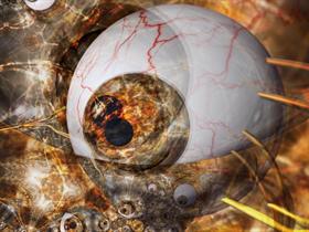Orgeye Remix 5
