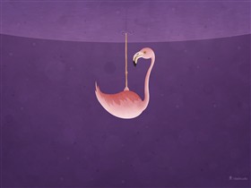 Flamingo