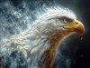 Eagle v2 by: Sed