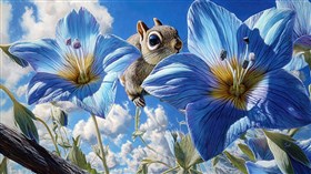 Squirrel