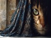 Arabic Cat