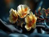 Roses Autumn