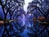 Hanging Fog