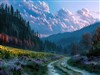 Road to Bauer Lake by: Sed