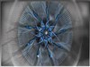 New Circle by: Sed