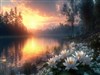 The Sun Rises by: Sed