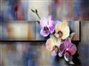 About Flowers  by: Sed