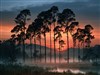 Evening by: Sed