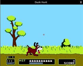 Duck Hunt