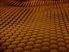 The Hexican Wave - Gold