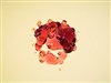 Lucid Liquid by: ChaNinja