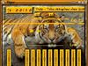 TigerSkin