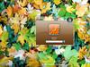 Splash Brown LogonVista by: Life is a Game