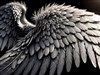 angel wings