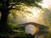 A romantic tranquil forest