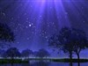 Lavender Dream by: DEVJIT