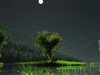 Love Heart 2. by: DEVJIT