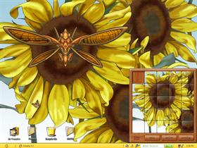 Simply Sunflowers