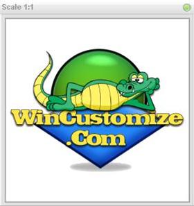 Wincustomize