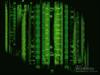 Matrix Green (Wireless Mouse) by: Bash2cool