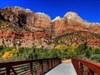 Zion National Park by: ernie leo