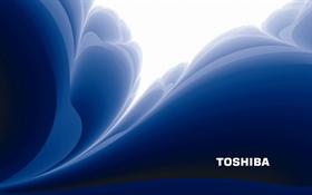 Toshiba Logon