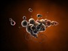 Cytoplasm by: firebrick
