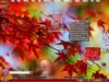 Maple by: Himangshu