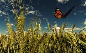 Golden field