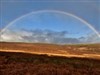 Rainbow by: Fuzzy Logic