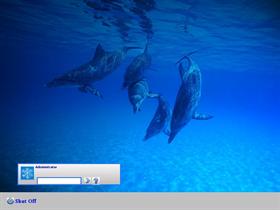 Dolphins