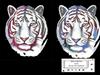White Tiger by: Incoherent