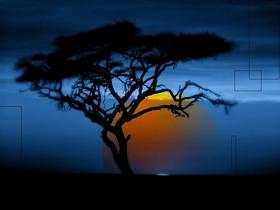 AfricA suNseT