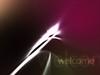 Aurorix Logon 5 by: NGTV