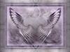 Wings2 by: AluaMatara