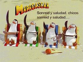 Madagascar Pingüinos
