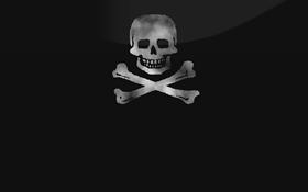 Pirate 