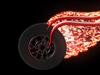 Red Wings by: Seabass
