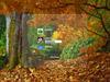Autumn Colors v1.0 by: unclerob