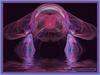 Fractal 277 by: digitalpix4all