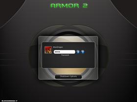 Armor 2
