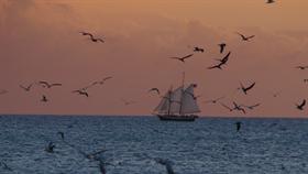 Sunset in the Keys