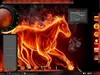 Elemental Fire by: calal