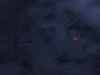 Headless Horseman by: StuSchellhamer