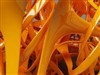 Ultimo Orange by: ShippD