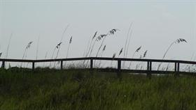 In the Dunes I