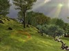 Tree of Conscience LSV by: skyzyk