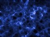 Blu Plasma by: amitsaran