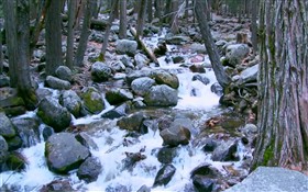 Another Cascade