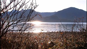 Sunset on the River